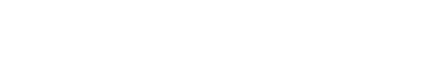 Leminiscate horizontal logo
